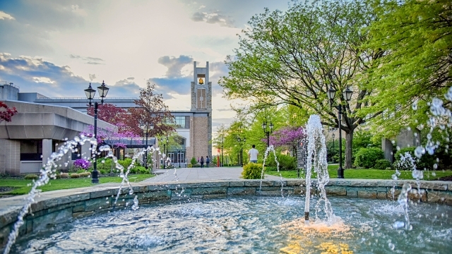 Campus Fountains