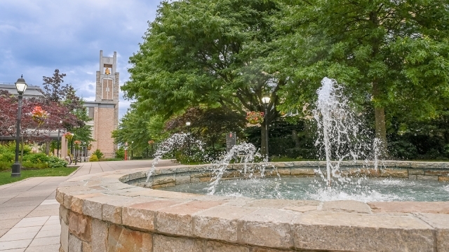 Picture of the fountain by Marillac in spring