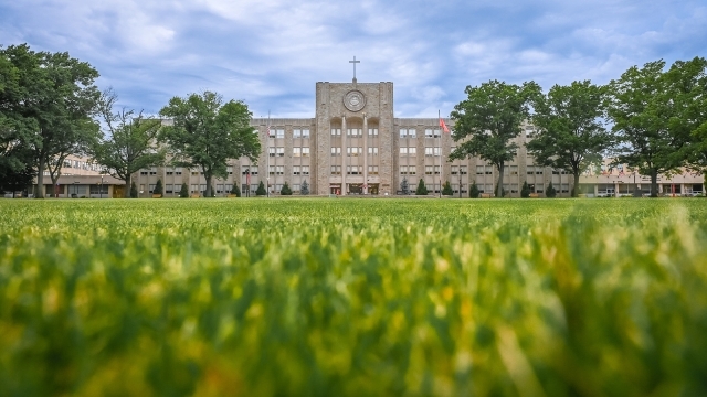 A picture of the grass on the Great Lawn in front of the library.
