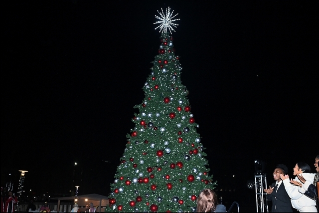 The St. John's Christmas tree 