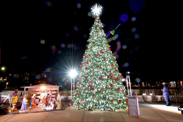 The St. John's University Christmas tree and manger