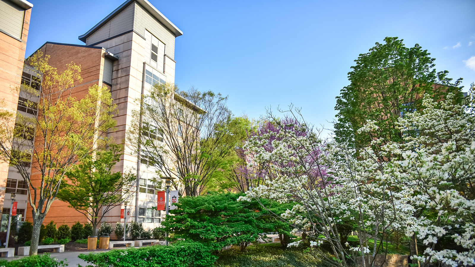 Mathematics Bachelor Of Arts St John S University