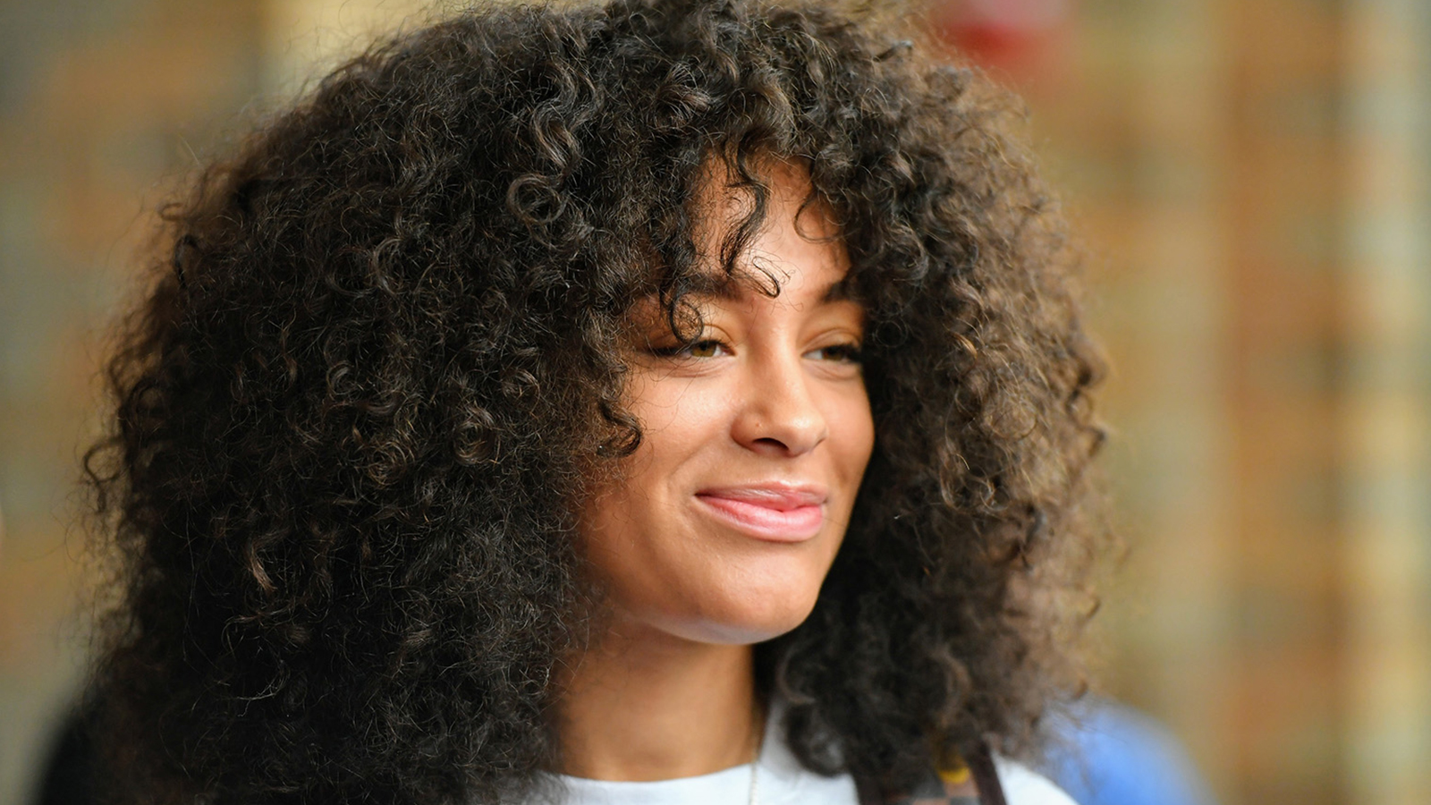 Spanish, Master of Arts St. John's University