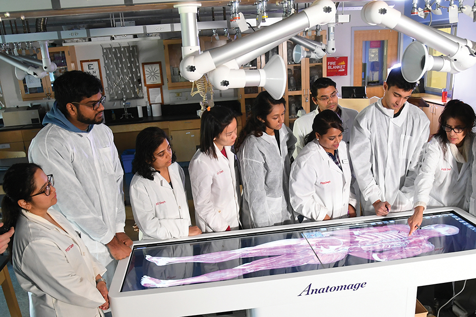 St. John's Lab