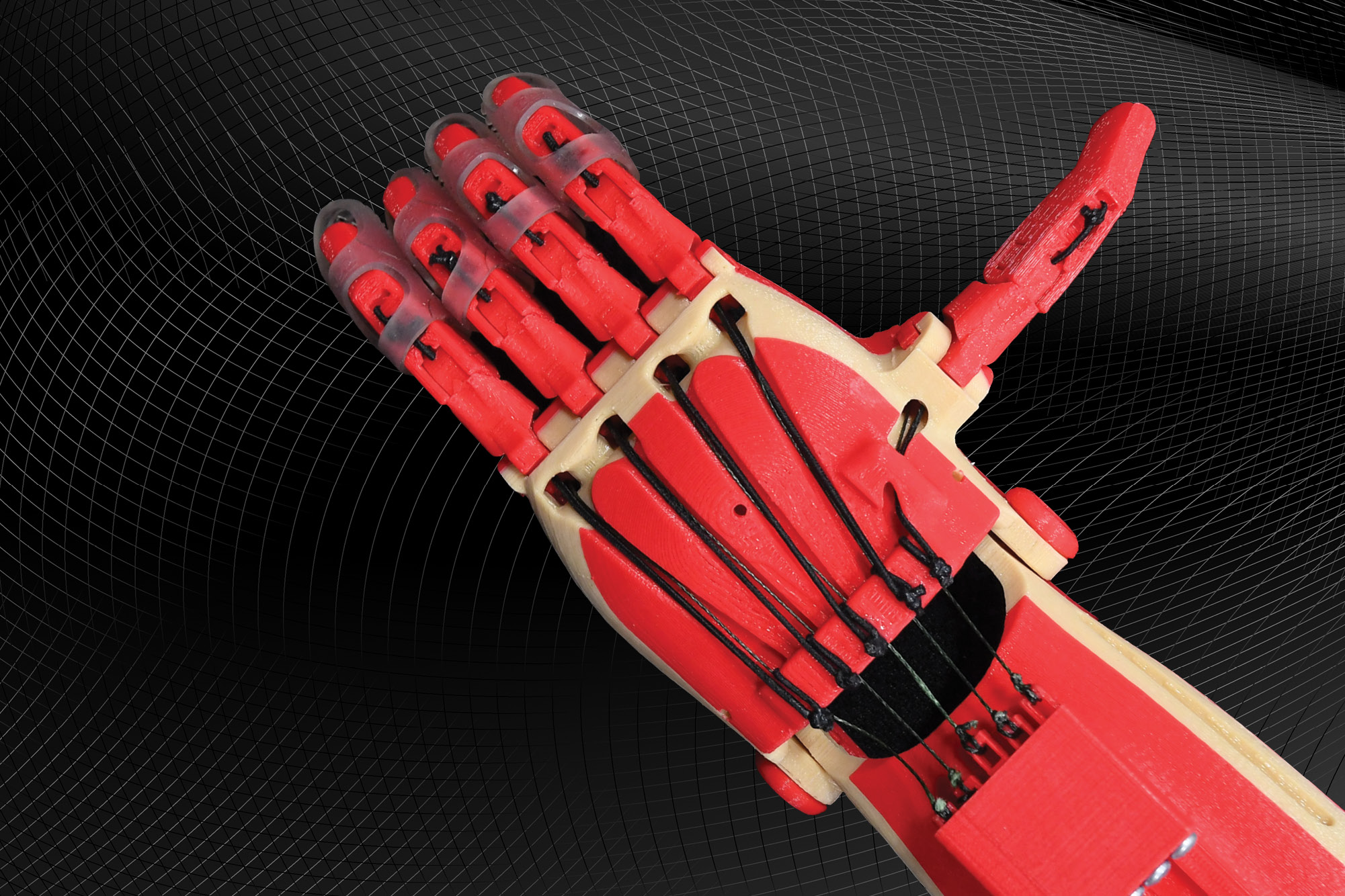 3D hand for gallery