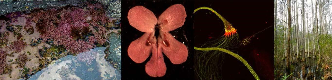 Biological Sciences