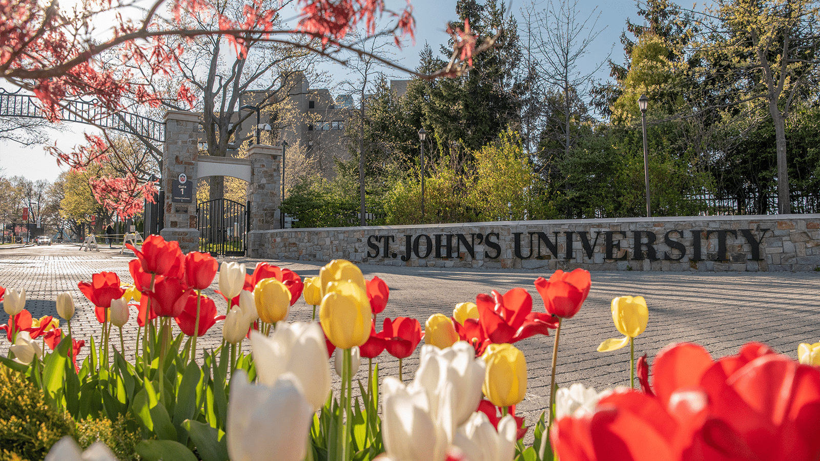 Spring Tulips at St. John's