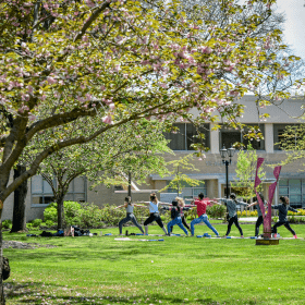 a group of people do yoga on a lawn