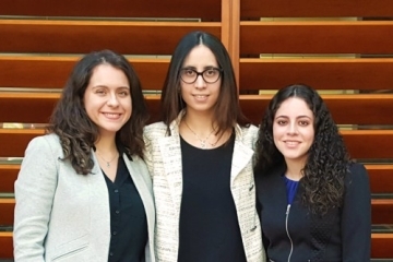 St. John's Law IJC fellows