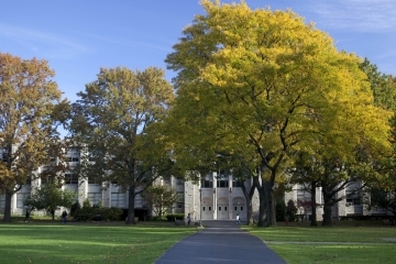 St John's Hall exterior of building with trees surrounding it