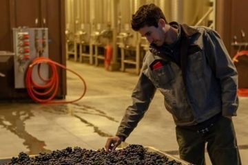 John Musto with Grapes