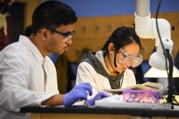 Hearst Foundation Awards Grant to College of Pharmacy and Health Sciences to Support Diversity Recruitment