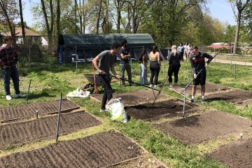 Students tilling garden for earth day