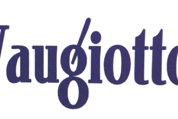 Vaugiotto, LLC Logo