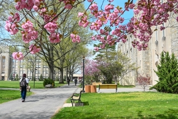 St. John's University campus in the springtime