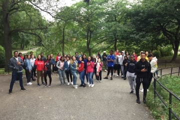 Bio Blitz in Captain Tilly Park