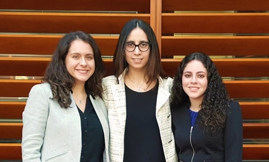 St. John's Law IJC fellows