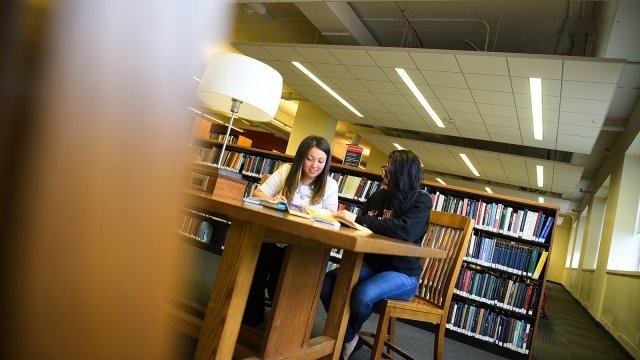Students Studying in Library 