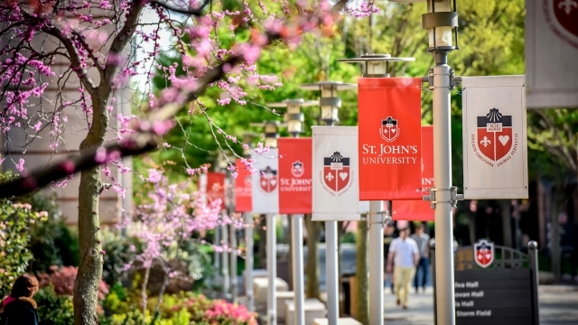 St John S University Catholic Vincentian Metropolitan Global