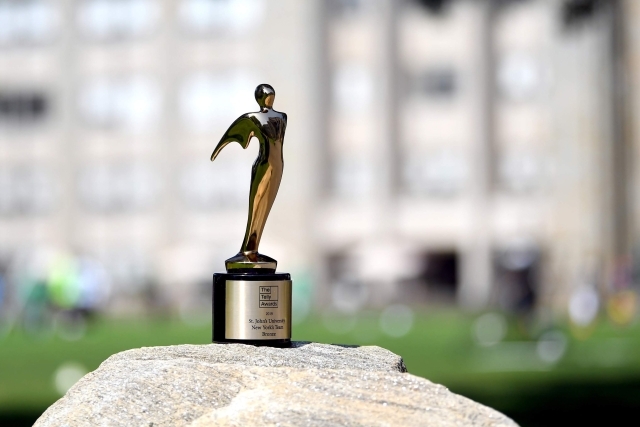 Telly Award on a rock