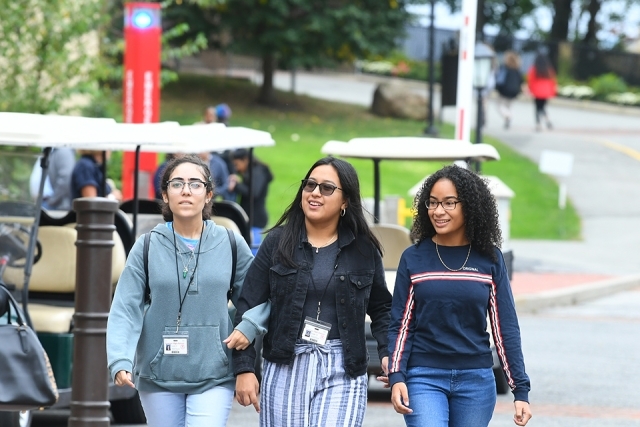 Guests arriving arm in arm
