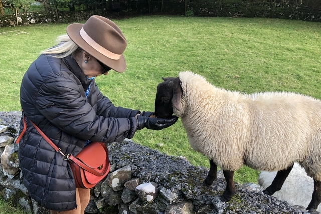 Woman feeding a goat