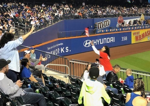 Fans at a baseball field reaching