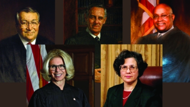 St. John's Law Court of Appeals Monkeys