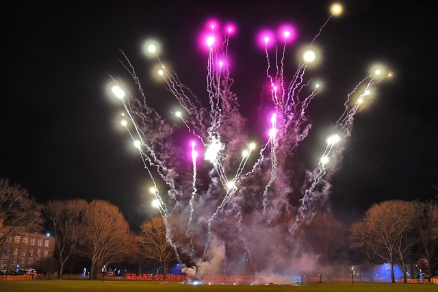 Pink, purple and white fireworks in the sky
