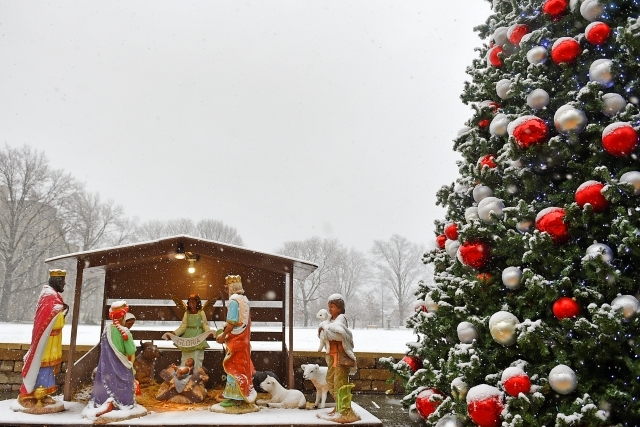 Nativity next to Christmas tree on the Great Lawn