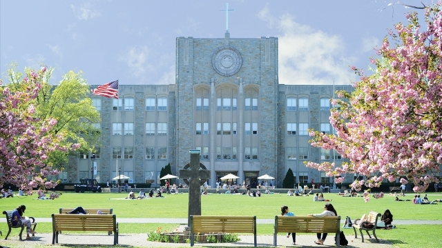 Library in spring with cherry. blossoms