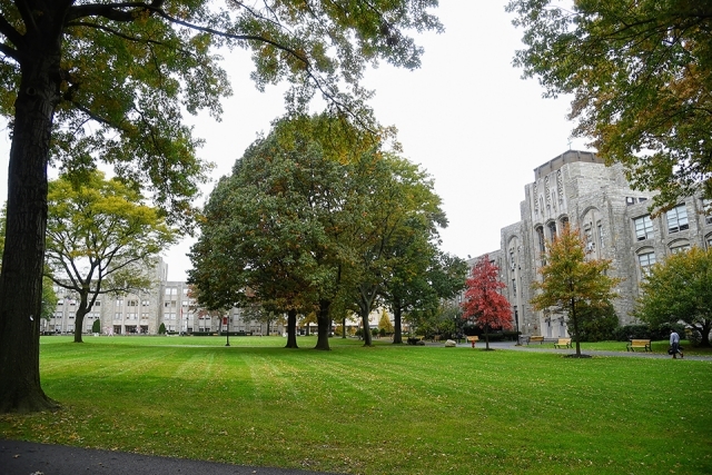 Great Lawn on Queens Campus
