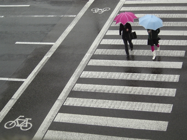 2 people walking on a crosswalk in Japan