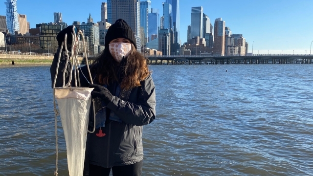 Tina Walsh on Hudson River pier
