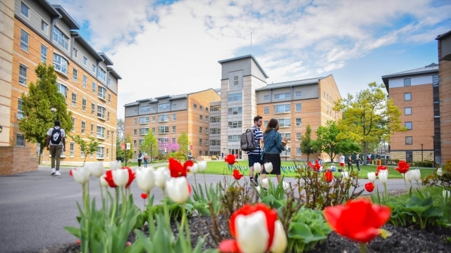 Students walking on path between buildings surrounded by tulips