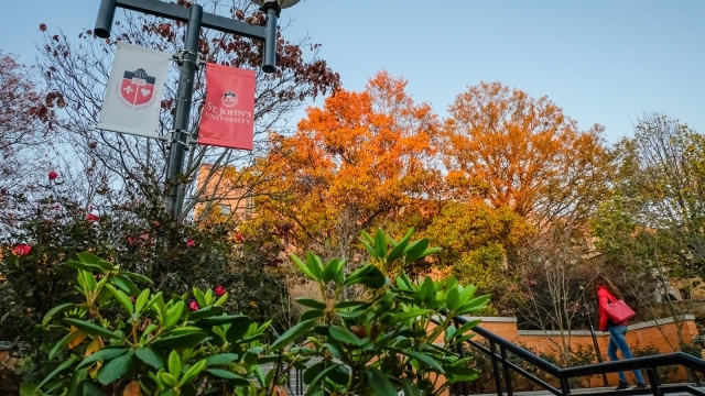 St. John's Banners in the fall