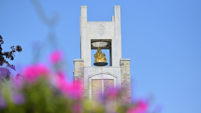 DAC Torch with Flowers in foreground