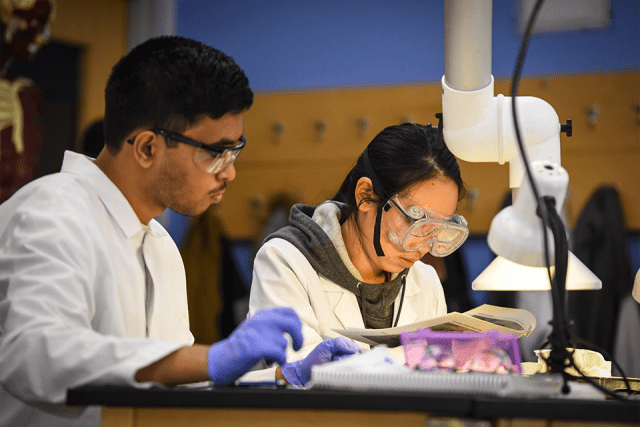 Two Biomedical Sciences students working in the lab