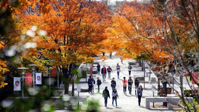 Students walking on Queens campus in the fall 