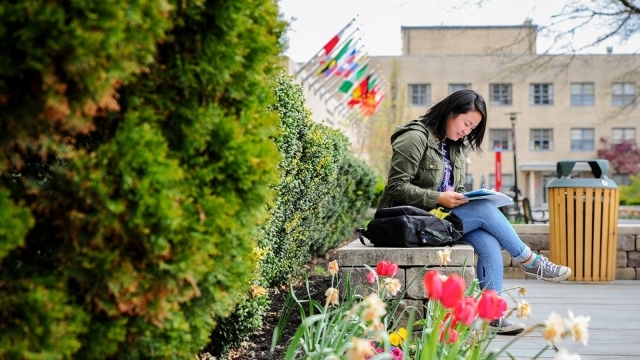 Environmental Sustainability and Decision Making M.A.