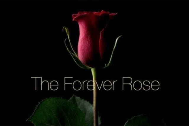 St. John’s Museum Administration Students Tackle Pioneering Technology in Virtual Exhibit