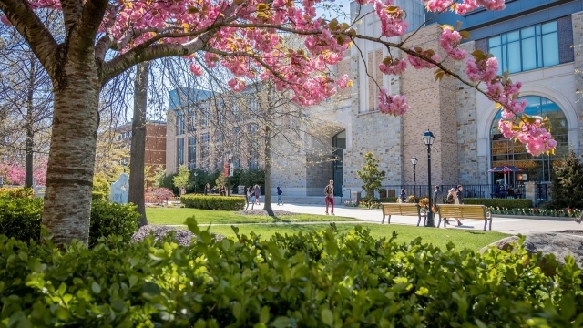 Spring campus shot