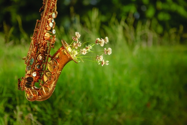 Saxophone in a field 