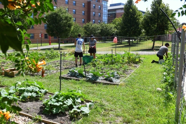 Image of garden with people working in it