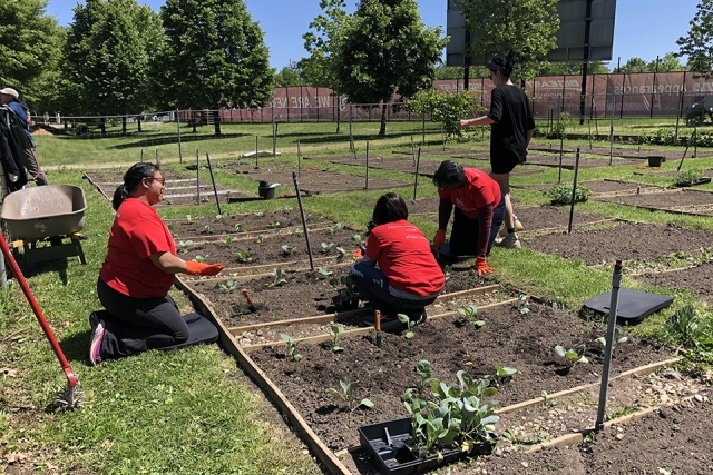 Employee Service Day 2023