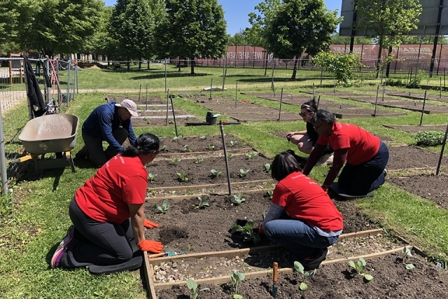 Employee Service Day 2023