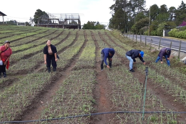 Service Trips Enable St. John’s Students to Embrace Vincentian Mission