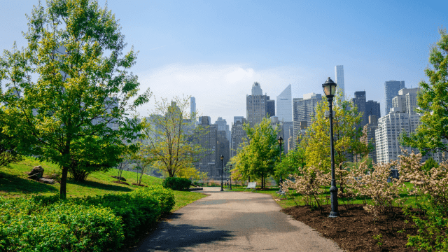Greenery and city view from Roosevelt Island in New York City 