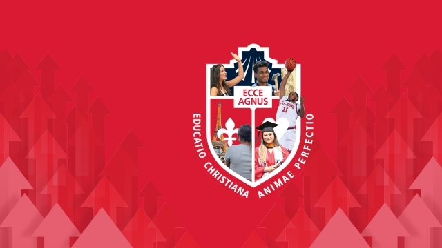 St. John's University Crest featured on red background with arrows pointing up