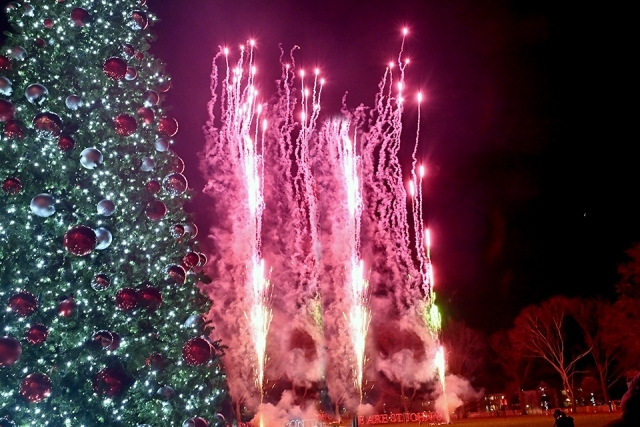 Fireworks at the St. John's Christmas tree lighting